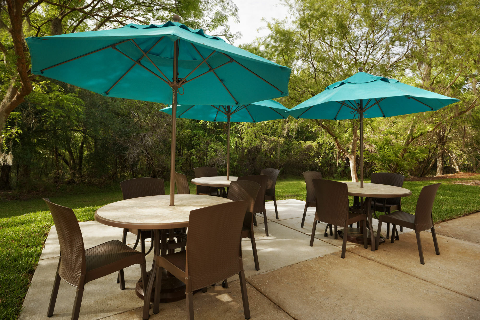 Hotel Mainstay Tampa Moffitt-usf Temple Terrace